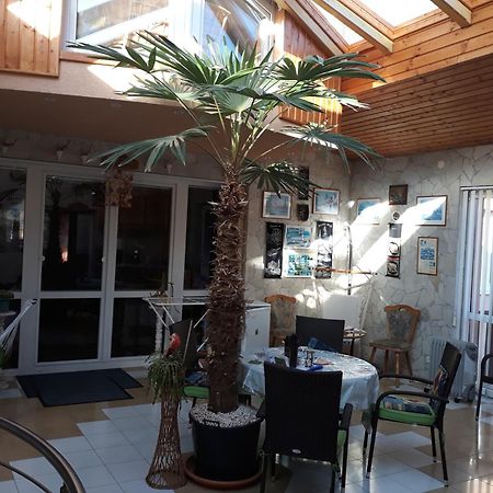 Kenezy Lux Apartman Vendeghaz Hajdúszoboszló 외부 사진